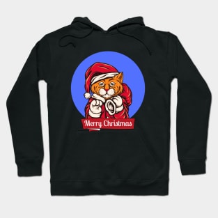 Merry christmas Hoodie